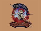 The Grateful Dead - The Very Best Of - Double 180g Vinyl LP  MINT