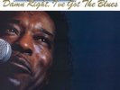 Buddy Guy Damn Right, I've Got The Blues (180 Gram Vinyl) [Import] Records & LPs