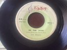 Los Shain's ‎– Lupe Vuelva A Casa / No Tan Lejos 1967 Peru 45RPM, Killer Garage