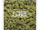 Dr Dre - 2001 (25th Anniversary) Green & Clear Vinyl Interscope Eminem PRESALE