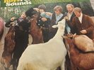 THE BEACH BOYS Pet Sounds Album LP Record 1980 Capitol Mono Reissue N-16156
