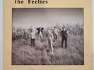 The Feelies - The Good Earth Vinyl LP - 1986 - Coyote Records TTC 8673