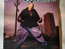 Fat Joe - Represent (LP, Album) 1993