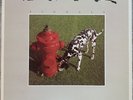 RUSH-Signals -Vinyl LP-SRM-1-4063 1st Pressing  Excellent Condition