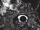 Primitive Man - Immersion (Ltd Ed, Splatter vinyl)