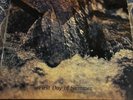 Afton - First Day Of Summer LP Vinyl Record Autographed Signed LARK LRLP 2288