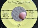 RARE Garage Psych Loner 45 ERIC & THE CHESSMEN Blue Skies KAMA VG++*