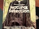 Natural Selection 12