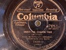 Columbia 14206D Earl McDonald Louisville Jug Band UNDER CHICKEN TREE 78rpm 1927