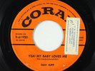 R&B Soul Popcorn 45 - Dav Kipp - Yea  My Baby Loves Me - Coral