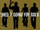 SHED SEVEN - Going For Gold: The Greatest Hits (reissue)