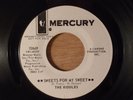 The Riddles Sweets For My Sweet/It's One Thing To Say Promo 1967 Garage, Mod