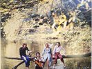 Paul McCartney And Wings Wild Life  LP Album vinyl record limited remastered