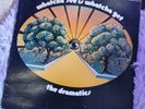 The Dramatics: Whatcha See Is Whatcha Get LP 1971 Volt soul funk plays well orig