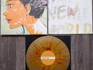 MASS OF THE FERMENTING DREGS – No New World LP(Goldy Green/ Orange&Red Splatter)