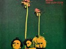 The Gun Club Miami 2021 Remastered Lava Red 2X Vinyl Newbury Comics Exclusive