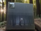 GEESE Projector Ltd Ed. Yellow Vinyl Mint Sealed.