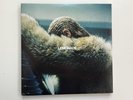 Beyoncé / Lemonade 2017 Yellow 2x Vinyl LPs NM/ VG+ Gatefold w/ Booklet 180g
