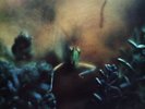 Steely Dan - Katy Lied (LP, Album, Bla)