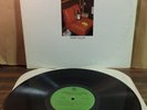 Terry Allen LUBBOCK (on everything) 2X LP 1979 2nd pressing VG+/NM Gatefold