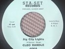 Cleo Randle Big City Lights / You Got Everything Vinyl 45rpm Northern Soul VG+