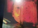 Alice In Chains Jar Of Flies Purple Yellow Orange Tri-Color Vinyl Record IN HAND