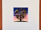 Talk Talk Laughing Stock 180g 12