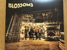 BLOSSOMS Blossoms (2016) Debut Vinyl LP