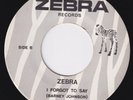 ZEBRA I Forgot To Say / Simple Song  sweet soul 45 funk disco LISTEN
