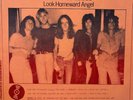 Aerosmith - Look Homeward Angel (Used LP)