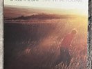 Saves the Day - Stay What You Are [Black Vinyl LP, 2011]