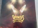 1979 Wings Of Light Self-Titled Modern Soul Funky Xian Daystar Vinyl LP  EX