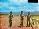 The Pioneers - Long Shot Translucent Magenta Vinyl  (2023 - EU - Original)