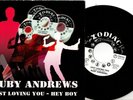 Ruby Andrews:Just loving you/Hey boy take a chance on love: DJ:Re-Issue