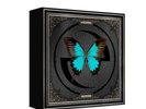 SEALED-Evanescence- Fallen Vinyl 20th Anniversary Limited Edition Deluxe Box Set