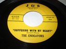 ENDEAVORS SUFFERING WITH MY HEART 45 7