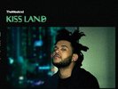 The Weeknd - Kiss Land [2 Lp] [seaglass] - Vinyl