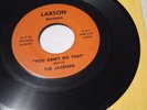 RARE ROCKFORD IL.GARAGE 45 THE JACEMEN DON'T TAKE IT OUT ON ME LARSON S-5306