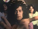 Led Zeppelin-The Hand That Feeds-Fillmore 1969