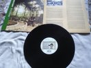 HORACE  ANDY: SKYLARKING  1996 REGGAE REISSUE