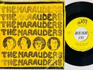 HEAR Rare Punk Power Pop PS 7