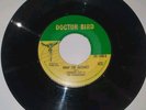 Orig Doctor Bird Label 7