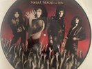 KISS LP Smashes Thrashes and Hits Picture Disc complete  Ships from USA