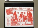 Hard To Obtain Slaughter And The Dogs 1997 Lp Color Record Live In Blackpool 199
