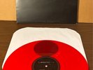 RANE Serato Scratch LIVE Control 12