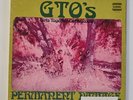 GTO’s Permanent Damage White Label Promo Vinyl Record LP Psych Acid Zappa