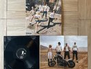 Amyl And The Sniffers Cartoon Darkness SIGNED Bittersweet Moondance LP Vinyl