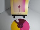 HOTEL POOLS- Fall '18 Vinyl LP Tri-Color Wheel Repress (A)