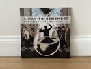 A Day To Remember What Seperates Me From You Red Orange Vinyl