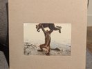 Shellac - Dude incredible (Steve Albini) NM-Mint Condition 12'' LP